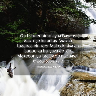 Picture 05 - Falimaha Rasuullada 16:9 SOM - Oo habeennimo ayaa Bawlos wax riyo ku arkay. - Bible Verse Picture