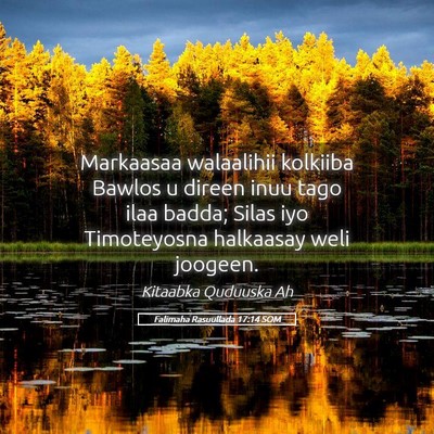 Picture 05 - Falimaha Rasuullada 17:14 SOM - Markaasaa walaalihii kolkiiba Bawlos u direen - Bible Verse Picture