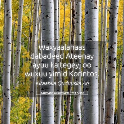 Picture 05 - Falimaha Rasuullada 18:1 SOM - Waxyaalahaas dabadeed Ateenay ayuu ka tegey, oo - Bible Verse Picture