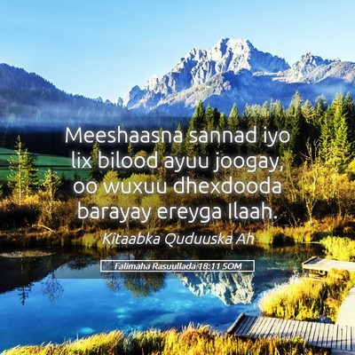 Picture 05 - Falimaha Rasuullada 18:11 SOM - Meeshaasna sannad iyo lix bilood ayuu joogay, oo - Bible Verse Picture