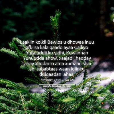 Picture 05 - Falimaha Rasuullada 18:14 SOM - Laakiin kolkii Bawlos u dhowaa inuu afkiisa kala - Bible Verse Picture