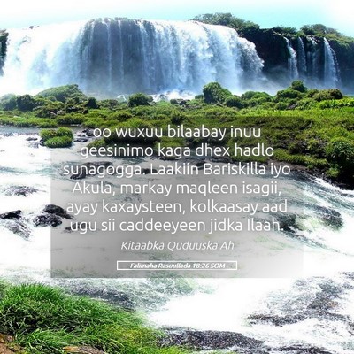 Picture 05 - Falimaha Rasuullada 18:26 SOM - oo wuxuu bilaabay inuu geesinimo kaga dhex hadlo - Bible Verse Picture