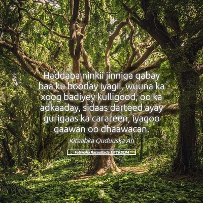 Picture 05 - Falimaha Rasuullada 19:16 SOM - Haddaba ninkii jinniga qabay baa ku booday - Bible Verse Picture
