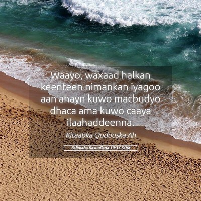 Picture 05 - Falimaha Rasuullada 19:37 SOM - Waayo, waxaad halkan keenteen nimankan iyagoo aan - Bible Verse Picture