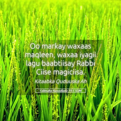 Picture 05 - Falimaha Rasuullada 19:5 SOM - Oo markay waxaas maqleen, waxaa iyagii lagu - Bible Verse Picture