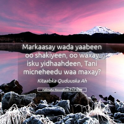 Picture 05 - Falimaha Rasuullada 2:12 SOM - Markaasay wada yaabeen oo shakiyeen, oo waxay - Bible Verse Picture