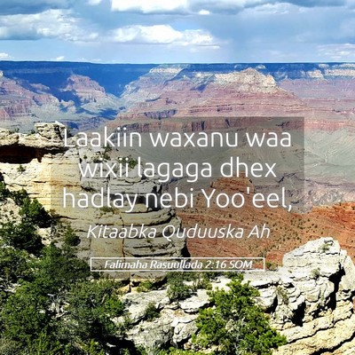 Picture 05 - Falimaha Rasuullada 2:16 SOM - Laakiin waxanu waa wixii lagaga dhex hadlay nebi - Bible Verse Picture