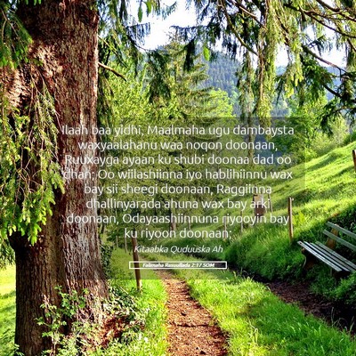 Picture 05 - Falimaha Rasuullada 2:17 SOM - Ilaah baa yidhi, Maalmaha ugu dambaysta - Bible Verse Picture
