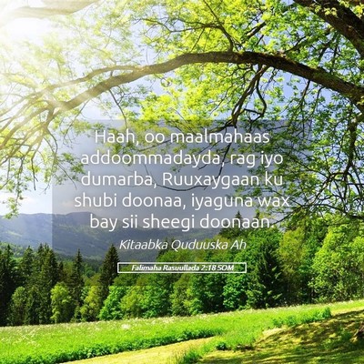 Picture 05 - Falimaha Rasuullada 2:18 SOM - Haah, oo maalmahaas addoommadayda, rag iyo - Bible Verse Picture