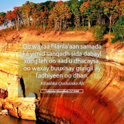 Picture 05 - Falimaha Rasuullada 2:2 SOM - Oo waxaa filanla'aan samada ka yimid sanqadh sida - Bible Verse Picture