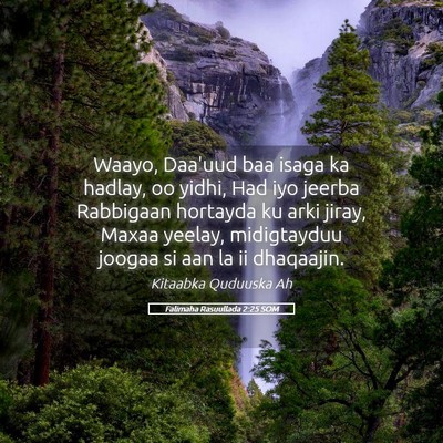 Picture 05 - Falimaha Rasuullada 2:25 SOM - Waayo, Daa'uud baa isaga ka hadlay, oo yidhi, Had - Bible Verse Picture