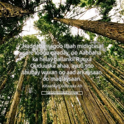Picture 05 - Falimaha Rasuullada 2:33 SOM - Haddaba isagoo Ilaah midigtiisa sare loogu - Bible Verse Picture