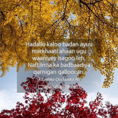 Picture 05 - Falimaha Rasuullada 2:40 SOM - Hadallo kaloo badan ayuu markhaati ahaan ugu - Bible Verse Picture