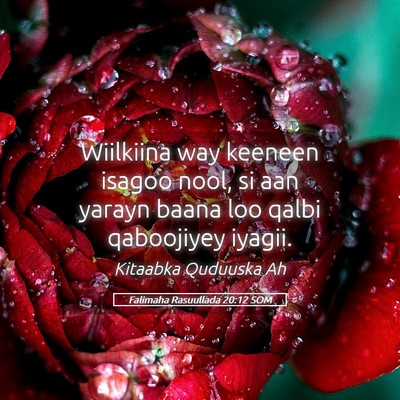 Picture 05 - Falimaha Rasuullada 20:12 SOM - Wiilkiina way keeneen isagoo nool, si aan yarayn - Bible Verse Picture