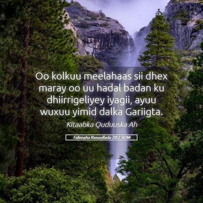 Picture 05 - Falimaha Rasuullada 20:2 SOM - Oo kolkuu meelahaas sii dhex maray oo uu hadal - Bible Verse Picture