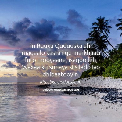 Picture 05 - Falimaha Rasuullada 20:23 SOM - in Ruuxa Quduuska ahi magaalo kasta iigu - Bible Verse Picture