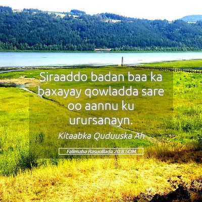 Picture 05 - Falimaha Rasuullada 20:8 SOM - Siraaddo badan baa ka baxayay qowladda sare oo - Bible Verse Picture