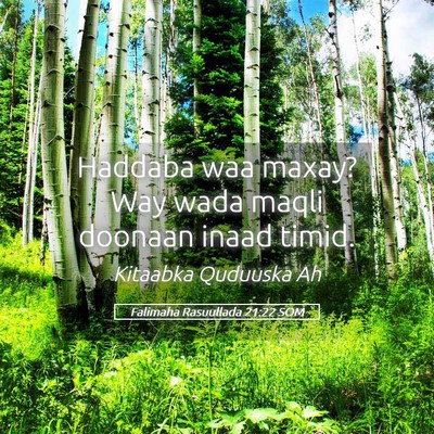 Picture 05 - Falimaha Rasuullada 21:22 SOM - Haddaba waa maxay? Way wada maqli doonaan inaad - Bible Verse Picture