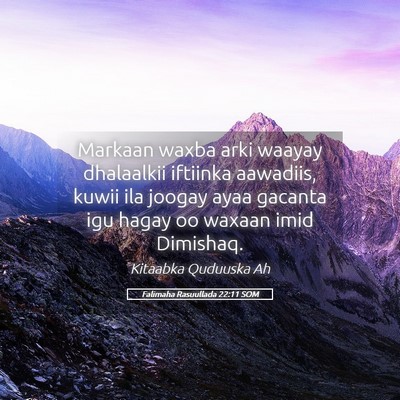 Picture 05 - Falimaha Rasuullada 22:11 SOM - Markaan waxba arki waayay dhalaalkii iftiinka - Bible Verse Picture