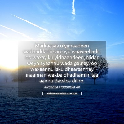 Picture 05 - Falimaha Rasuullada 23:14 SOM - Markaasay u yimaadeen wadaaddadii sare iyo - Bible Verse Picture