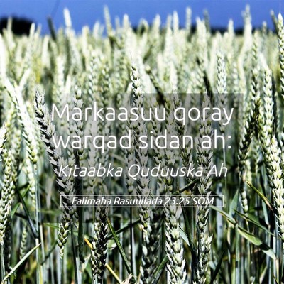 Picture 05 - Falimaha Rasuullada 23:25 SOM - Markaasuu qoray warqad sidan - Bible Verse Picture