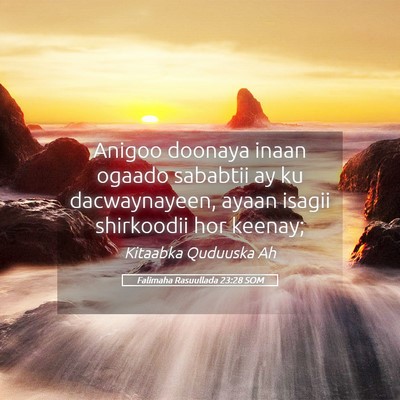 Picture 05 - Falimaha Rasuullada 23:28 SOM - Anigoo doonaya inaan ogaado sababtii ay ku - Bible Verse Picture