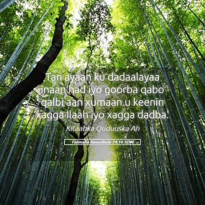 Picture 05 - Falimaha Rasuullada 24:16 SOM - Tan ayaan ku dadaalayaa inaan had iyo goorba qabo - Bible Verse Picture