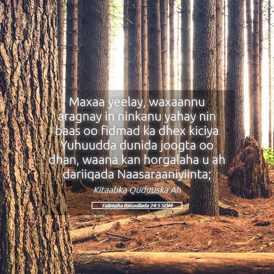 Picture 05 - Falimaha Rasuullada 24:5 SOM - Maxaa yeelay, waxaannu aragnay in ninkanu yahay - Bible Verse Picture