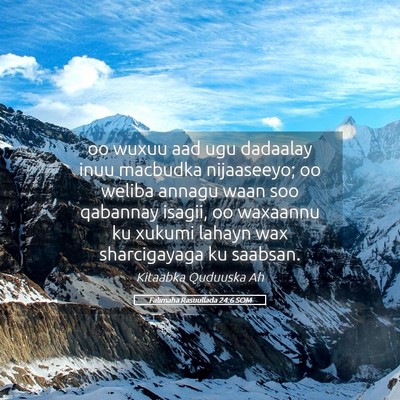 Picture 05 - Falimaha Rasuullada 24:6 SOM - oo wuxuu aad ugu dadaalay inuu macbudka - Bible Verse Picture