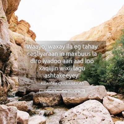 Picture 05 - Falimaha Rasuullada 25:27 SOM - Waayo, waxay ila eg tahay caqliyaraan in maxbuus - Bible Verse Picture
