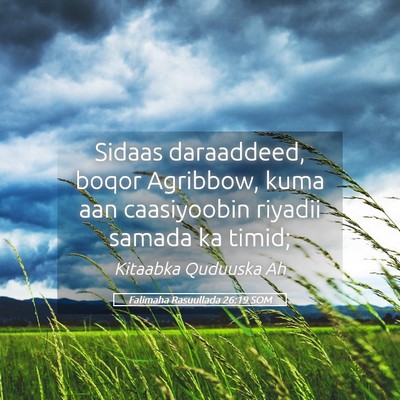 Picture 05 - Falimaha Rasuullada 26:19 SOM - Sidaas daraaddeed, boqor Agribbow, kuma aan - Bible Verse Picture