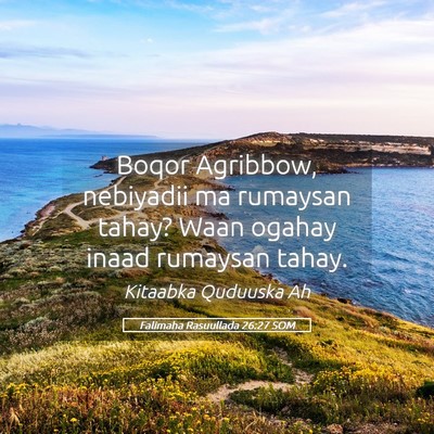 Picture 05 - Falimaha Rasuullada 26:27 SOM - Boqor Agribbow, nebiyadii ma rumaysan tahay? Waan - Bible Verse Picture