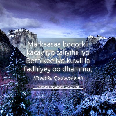 Picture 05 - Falimaha Rasuullada 26:30 SOM - Markaasaa boqorkii kacay iyo taliyihii iyo - Bible Verse Picture