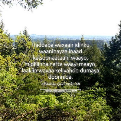 Picture 05 - Falimaha Rasuullada 27:22 SOM - Haddaba waxaan idinku waaninayaa inaad - Bible Verse Picture