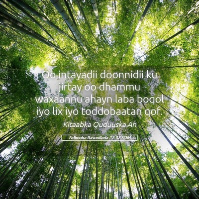 Picture 05 - Falimaha Rasuullada 27:37 SOM - Oo intayadii doonnidii ku jirtay oo dhammu - Bible Verse Picture