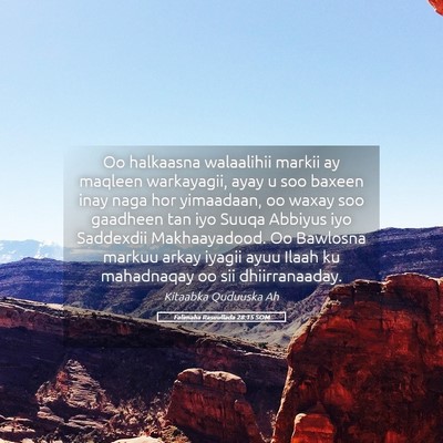 Picture 05 - Falimaha Rasuullada 28:15 SOM - Oo halkaasna walaalihii markii ay maqleen - Bible Verse Picture