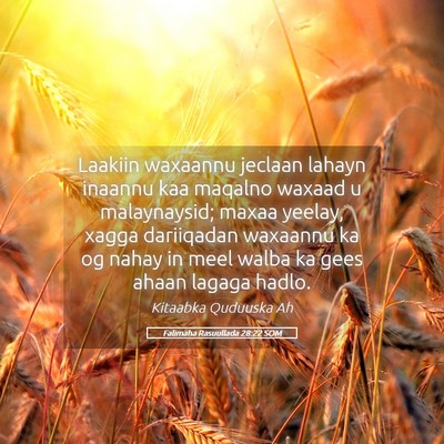 Picture 05 - Falimaha Rasuullada 28:22 SOM - Laakiin waxaannu jeclaan lahayn inaannu kaa - Bible Verse Picture