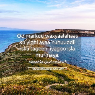 Picture 05 - Falimaha Rasuullada 28:29 SOM - Oo markuu waxyaalahaas ku yidhi ayaa Yuhuuddii - Bible Verse Picture