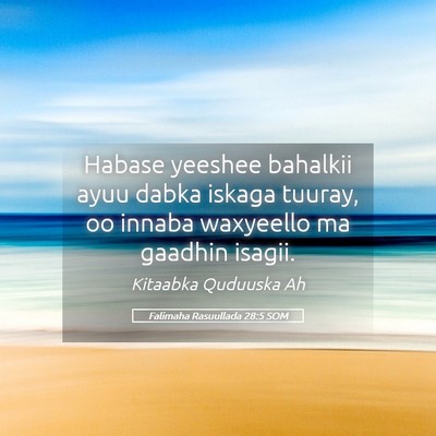Picture 05 - Falimaha Rasuullada 28:5 SOM - Habase yeeshee bahalkii ayuu dabka iskaga tuuray, - Bible Verse Picture