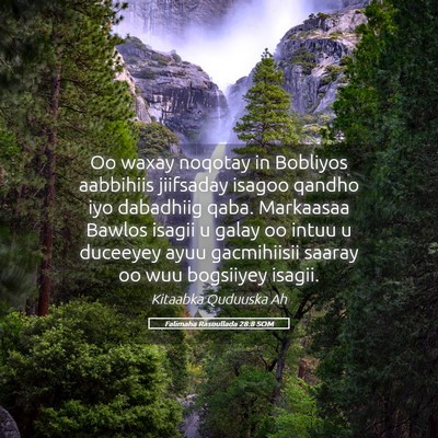 Picture 05 - Falimaha Rasuullada 28:8 SOM - Oo waxay noqotay in Bobliyos aabbihiis jiifsaday - Bible Verse Picture