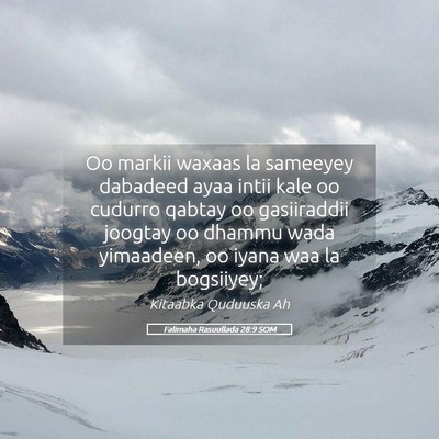 Picture 05 - Falimaha Rasuullada 28:9 SOM - Oo markii waxaas la sameeyey dabadeed ayaa intii - Bible Verse Picture