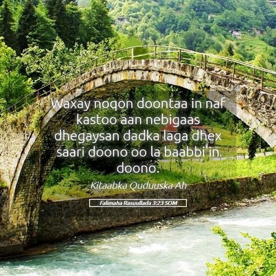 Picture 05 - Falimaha Rasuullada 3:23 SOM - Waxay noqon doontaa in naf kastoo aan nebigaas - Bible Verse Picture