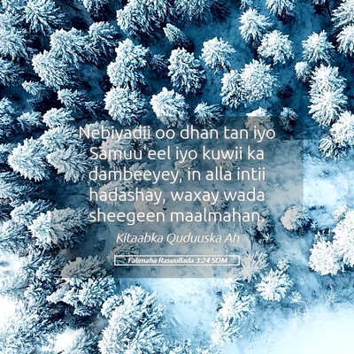 Picture 05 - Falimaha Rasuullada 3:24 SOM - Nebiyadii oo dhan tan iyo Samuu'eel iyo kuwii ka - Bible Verse Picture