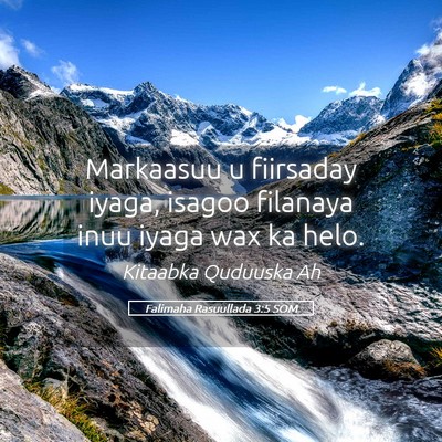 Picture 05 - Falimaha Rasuullada 3:5 SOM - Markaasuu u fiirsaday iyaga, isagoo filanaya inuu - Bible Verse Picture