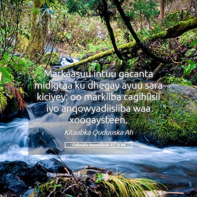 Picture 05 - Falimaha Rasuullada 3:7 SOM - Markaasuu intuu gacanta midigtaa ku dhegay ayuu - Bible Verse Picture