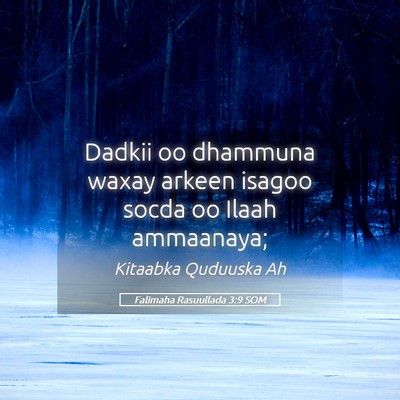 Picture 05 - Falimaha Rasuullada 3:9 SOM - Dadkii oo dhammuna waxay arkeen isagoo socda oo - Bible Verse Picture