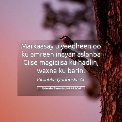Picture 05 - Falimaha Rasuullada 4:18 SOM - Markaasay u yeedheen oo ku amreen inayan aslanba - Bible Verse Picture
