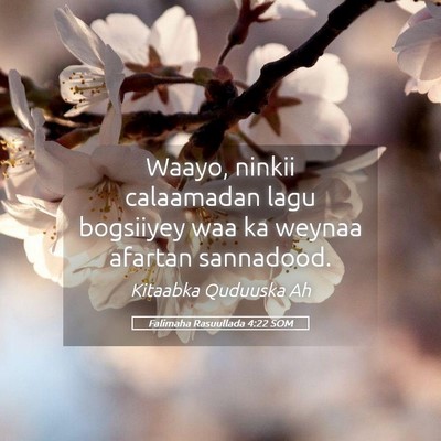 Picture 05 - Falimaha Rasuullada 4:22 SOM - Waayo, ninkii calaamadan lagu bogsiiyey waa ka - Bible Verse Picture