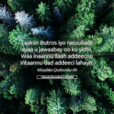Picture 05 - Falimaha Rasuullada 5:29 SOM - Laakiin Butros iyo rasuulladii ayaa u jawaabay oo - Bible Verse Picture