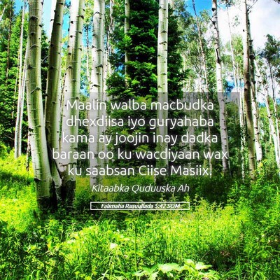 Picture 05 - Falimaha Rasuullada 5:42 SOM - Maalin walba macbudka dhexdiisa iyo guryahaba - Bible Verse Picture
